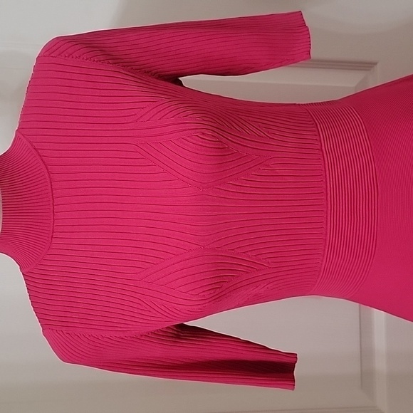 Ted Baker, Size 3 (US 8-10) Viviiyy Engineered Skater Dress,  Hot Pink,  EUC - Picture 2 of 16